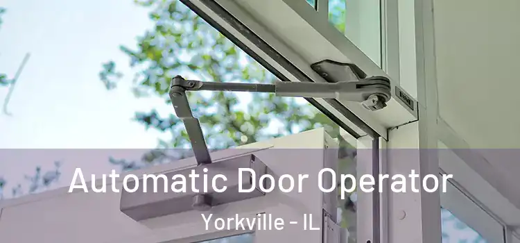 Automatic Door Operator Yorkville - IL