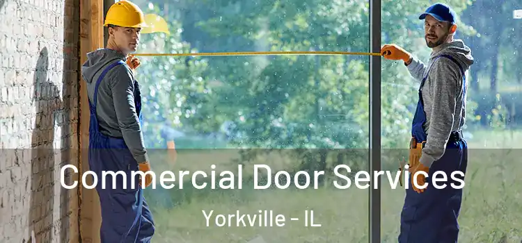Commercial Door Services Yorkville - IL