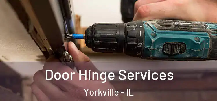 Door Hinge Services Yorkville - IL