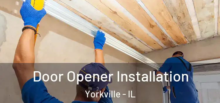  Door Opener Installation Yorkville - IL