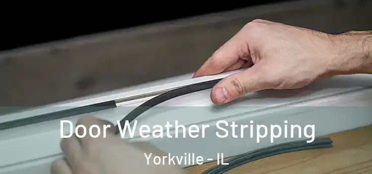  Door Weather Stripping Yorkville - IL