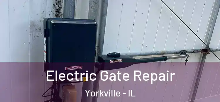  Electric Gate Repair Yorkville - IL