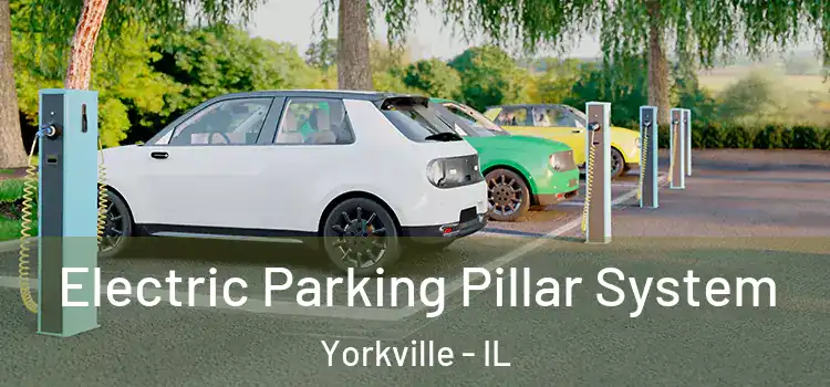  Electric Parking Pillar System Yorkville - IL