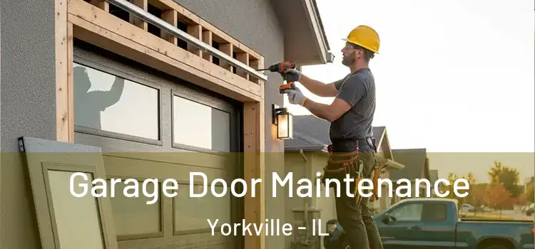  Garage Door Maintenance Yorkville - IL
