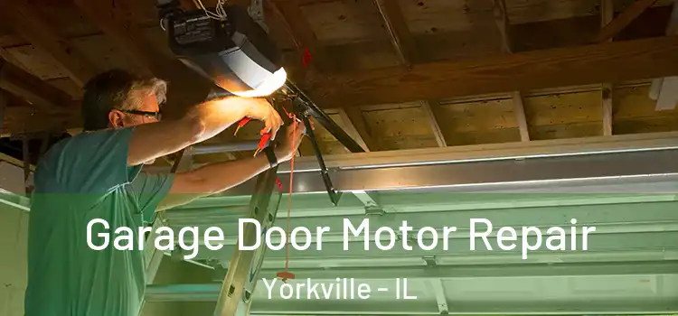  Garage Door Motor Repair Yorkville - IL