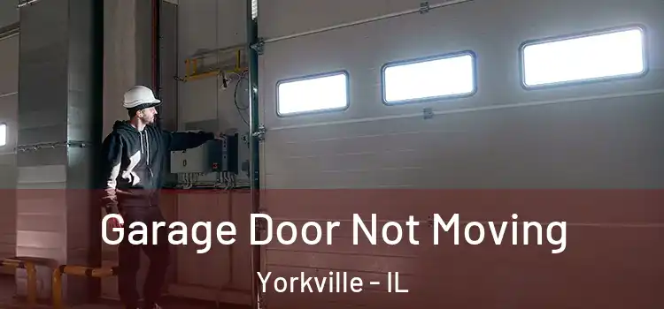  Garage Door Not Moving Yorkville - IL