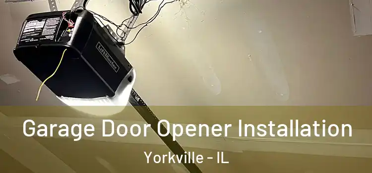  Garage Door Opener Installation Yorkville - IL