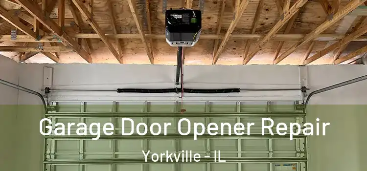  Garage Door Opener Repair Yorkville - IL