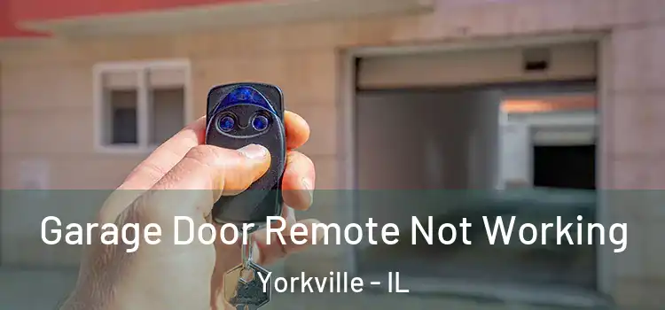  Garage Door Remote Not Working Yorkville - IL