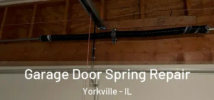  Garage Door Spring Repair Yorkville - IL
