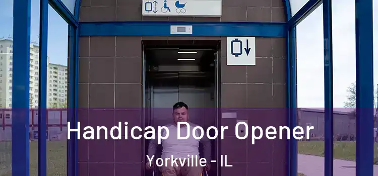 Handicap Door Opener Yorkville - IL