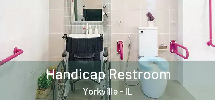  Handicap Restroom Yorkville - IL