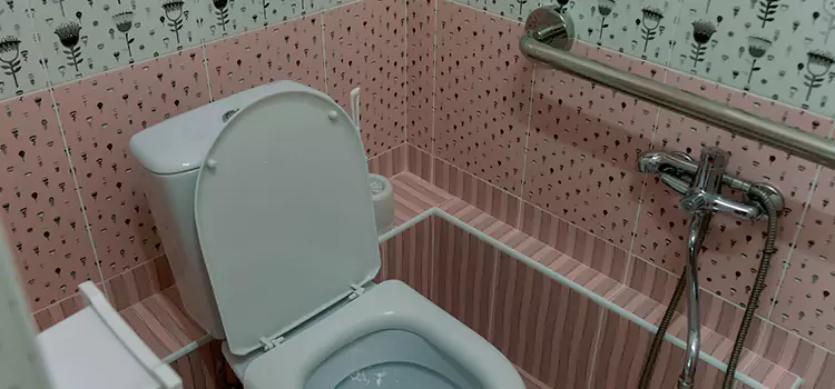Meeting Diverse Needs With Accessible Restroom Solutions in Yorkville, IL