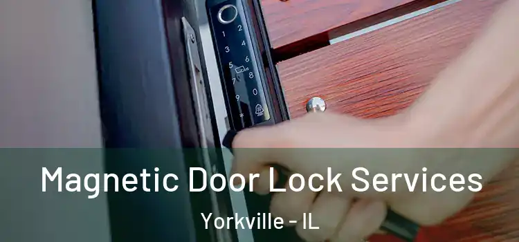  Magnetic Door Lock Services Yorkville - IL