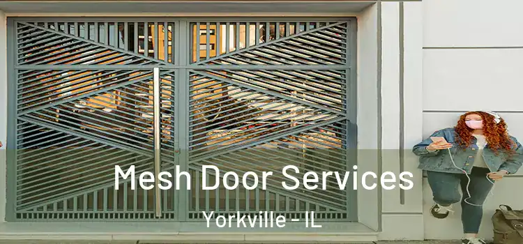 Mesh Door Services Yorkville - IL