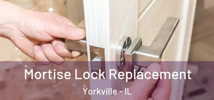 Mortise Lock Replacement Yorkville - IL