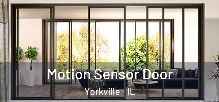 Motion Sensor Door Yorkville - IL