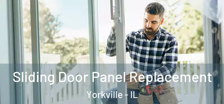  Sliding Door Panel Replacement Yorkville - IL