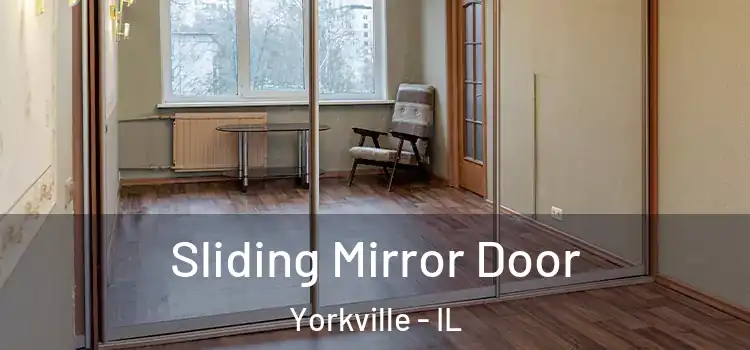  Sliding Mirror Door Yorkville - IL