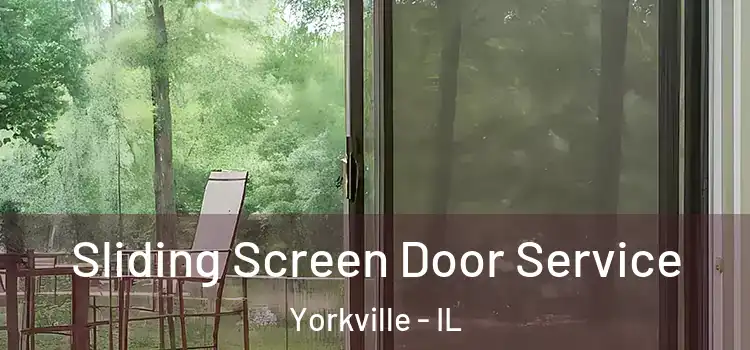 Sliding Screen Door Service Yorkville - IL