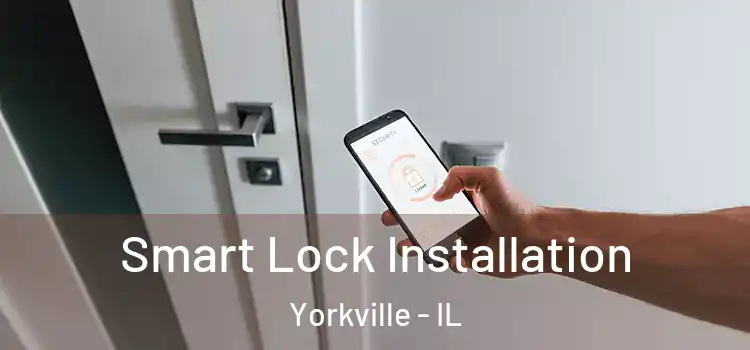 Smart Lock Installation Yorkville - IL
