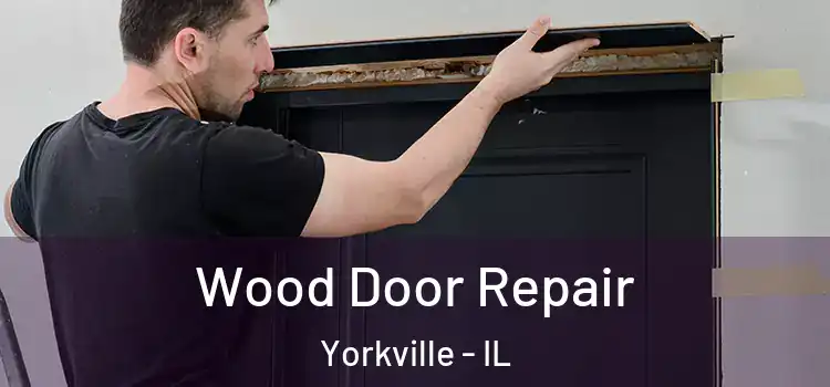 Wood Door Repair Yorkville - IL